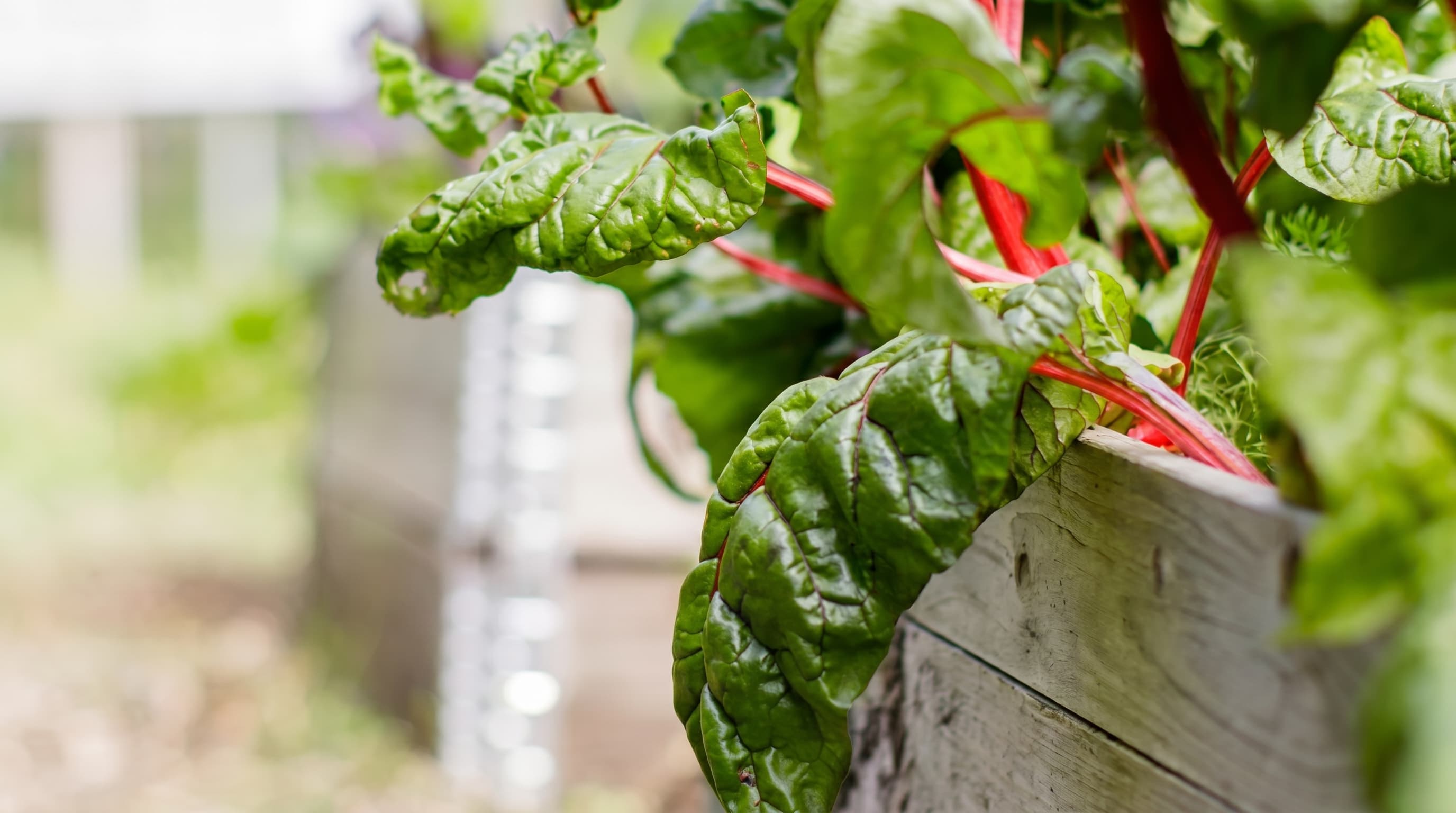 Puutarhaliiton brändikuva