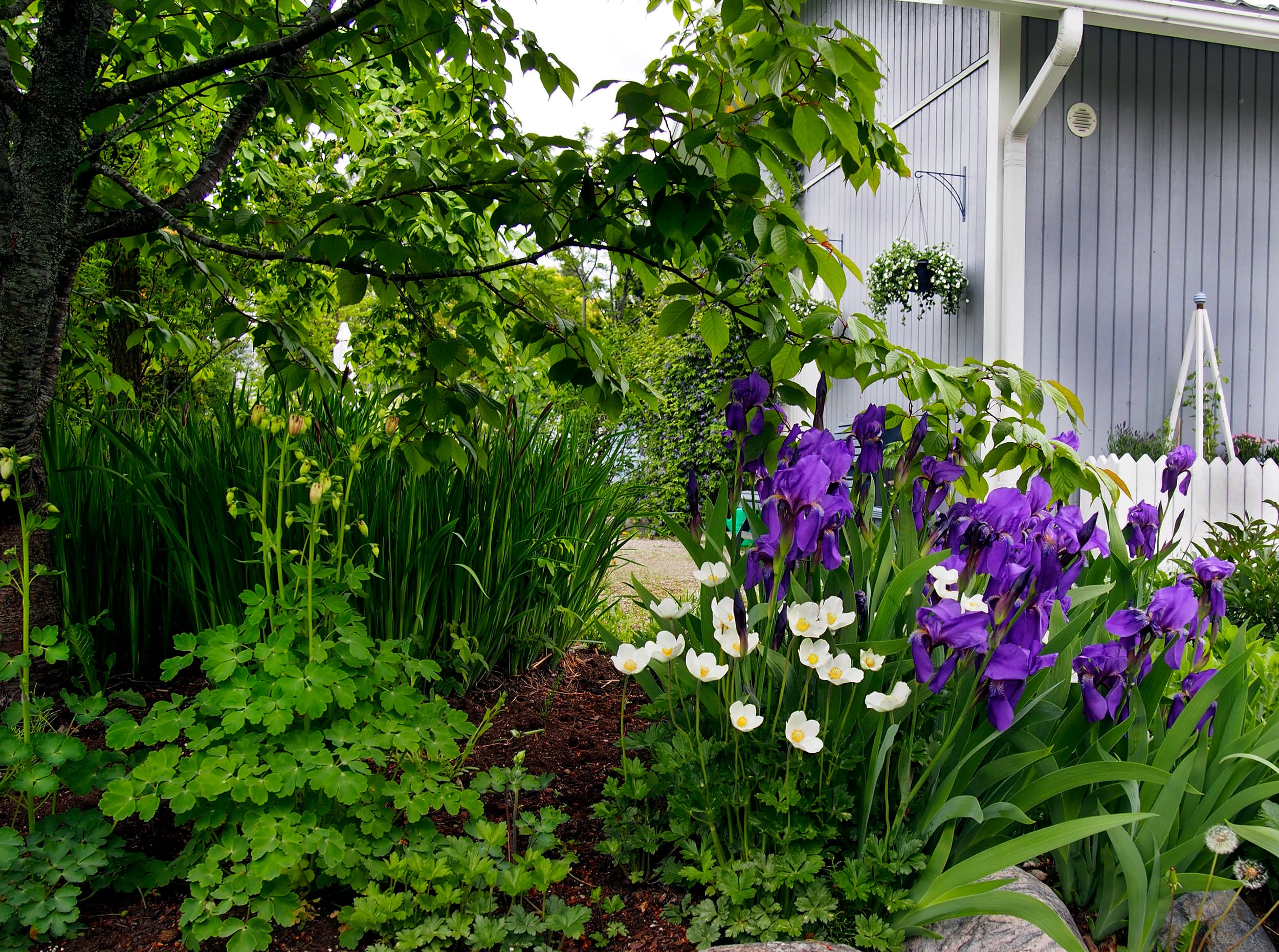 Avoimet Puutarhat 2026